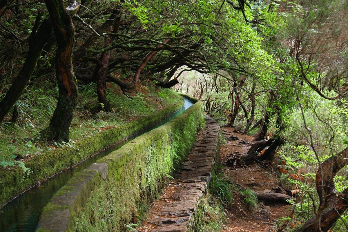 Moradia Ponte De Pedra Villa Sao Vicente (Madeira)